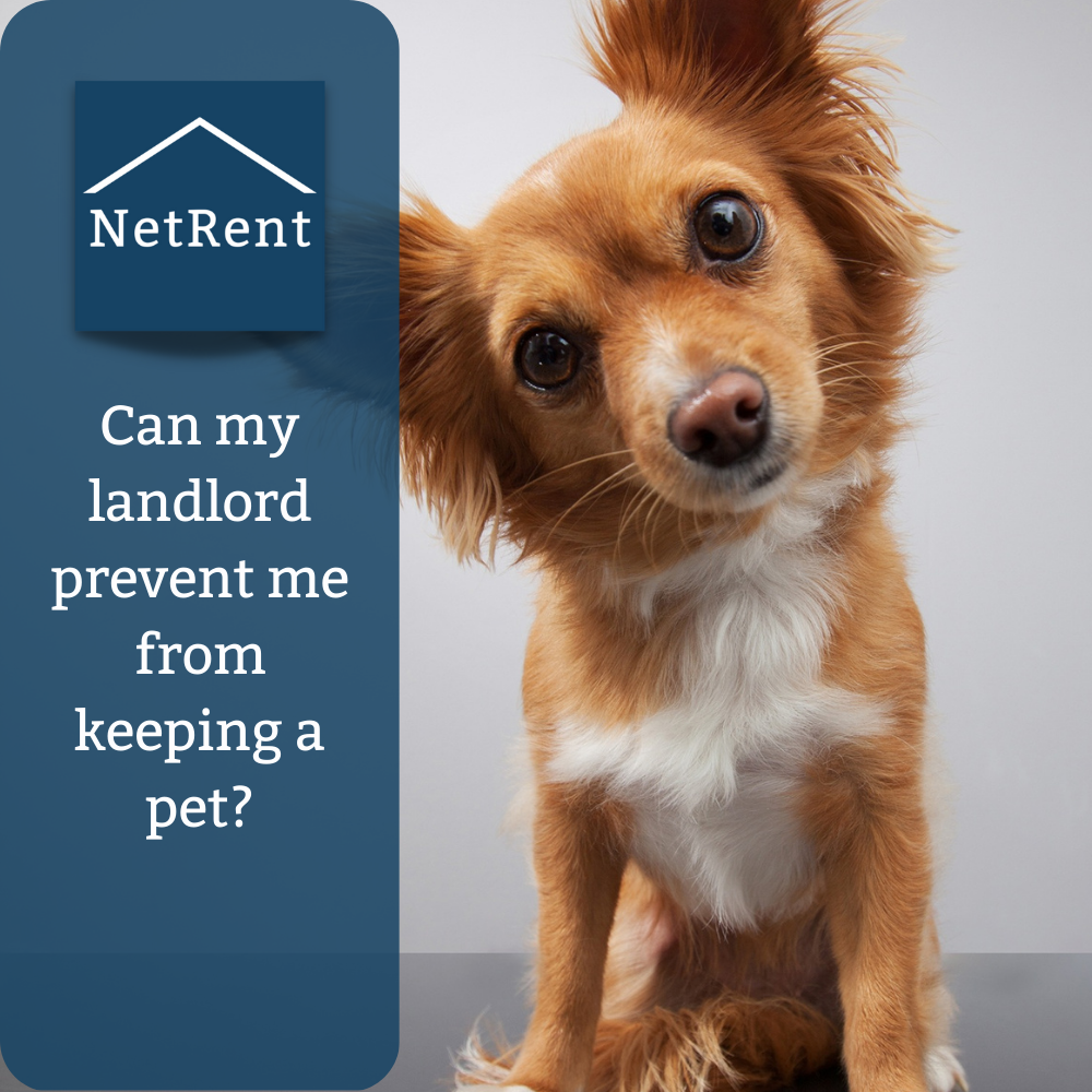 Can my landlord prevent me from keeping a pet? NetRent