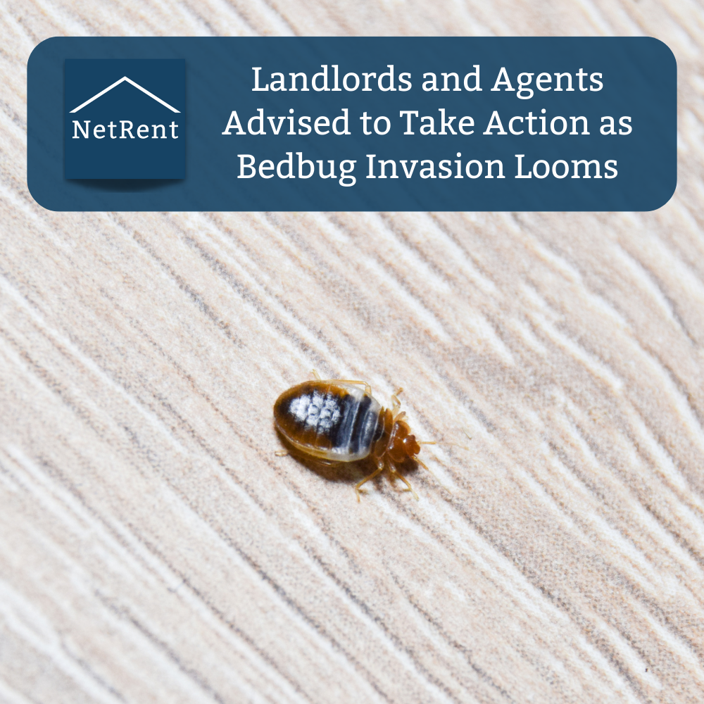 Landlords and Agents Advised to Take Action as Bedbug Invasion Looms