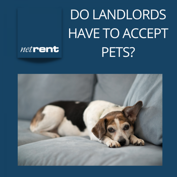 Do landlords have to accept pets? NetRent