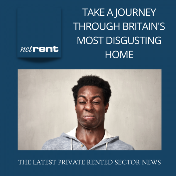 NetRent (12)