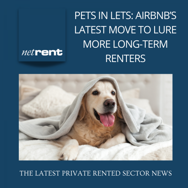 NetRent (20)