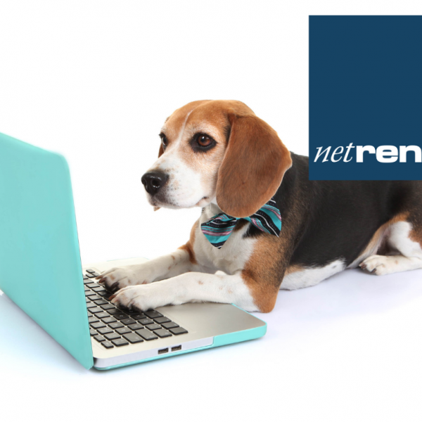 NetRent (3)
