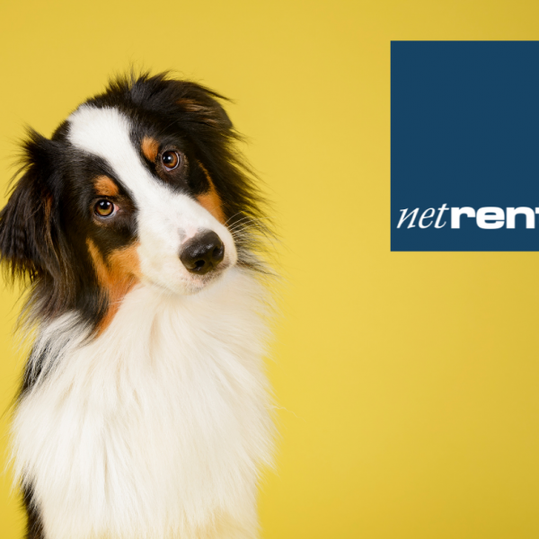 NetRent (3)