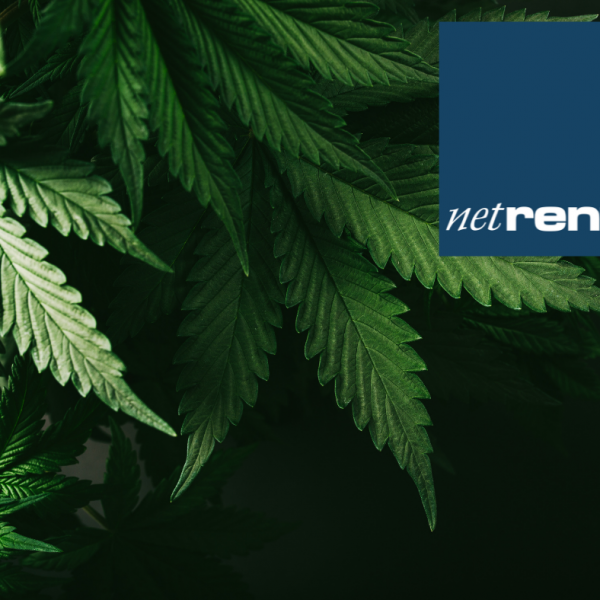 NetRent (5)