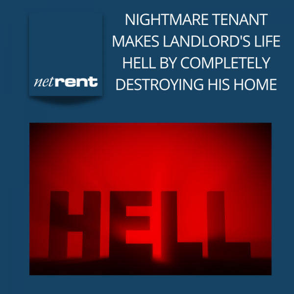 NetRent (5)