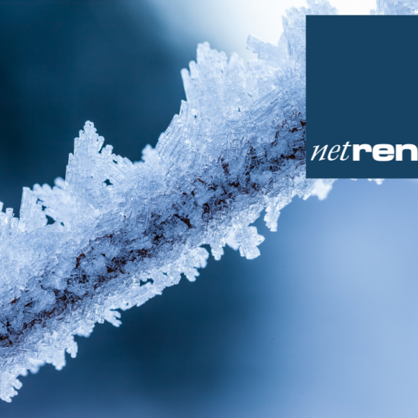 NetRent (7)