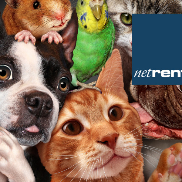 NetRent