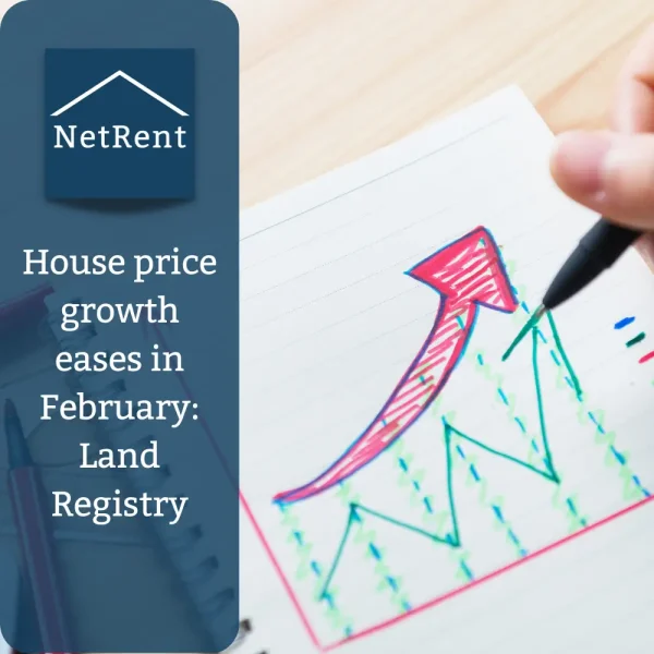 NetRent Social Media (1000x1000) (2)
