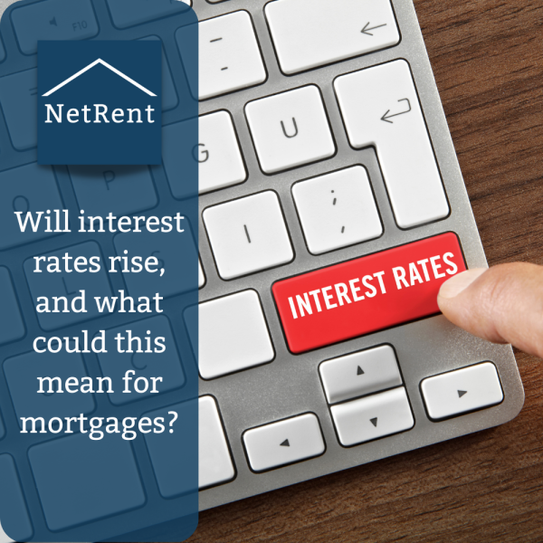 NetRent Social Media (1000x1000) (3)