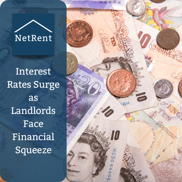NetRent Social Media (1000x1000) (3)