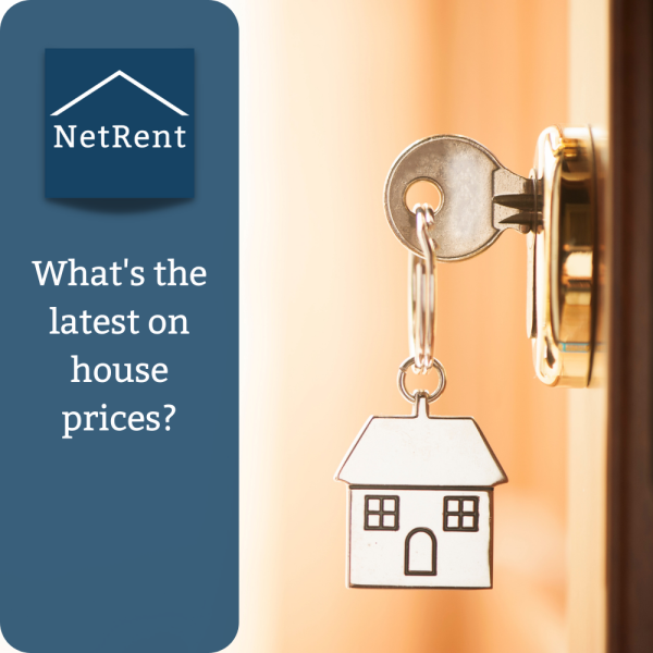 NetRent Social Media (1000x1000) (4)