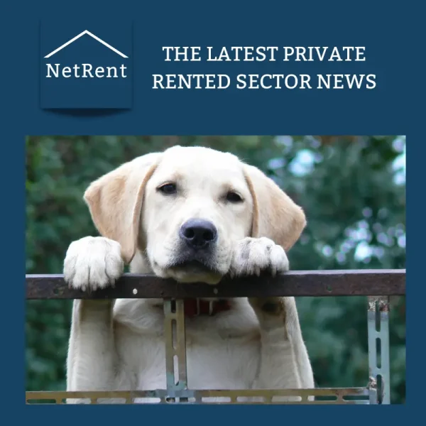NetRent Social Media (2)
