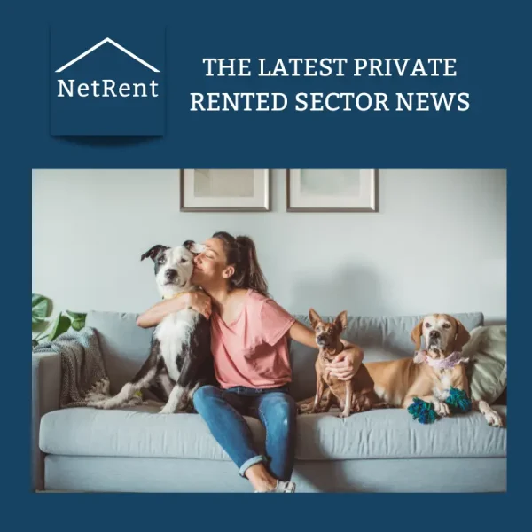 NetRent Social Media (2)