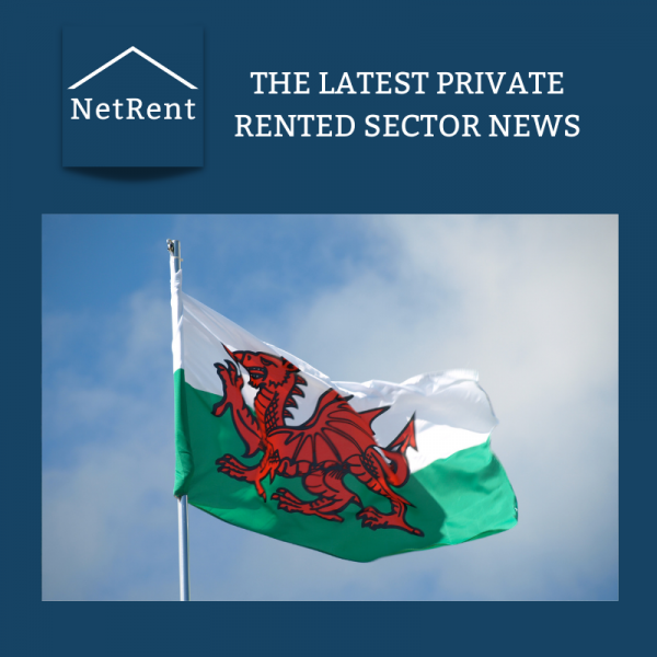 NetRent Social Media (3)