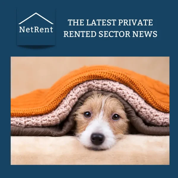NetRent Social Media (4)