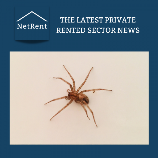 NetRent Social Media (4)