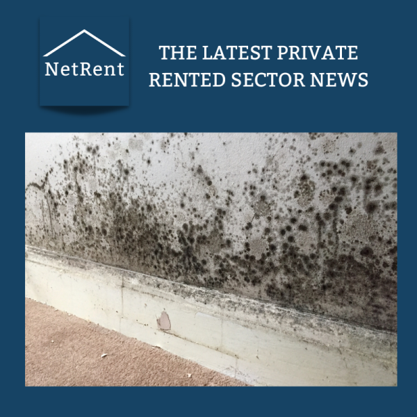 NetRent Social Media (4)