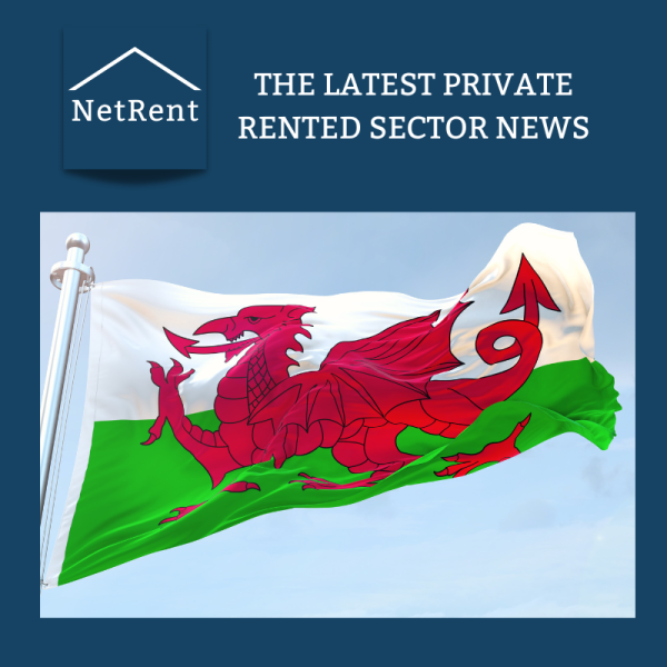 NetRent Social Media (5)