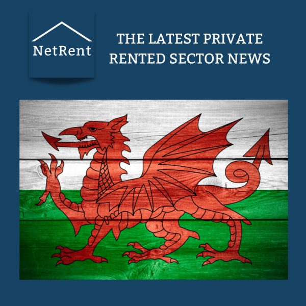 NetRent Social Media (6)