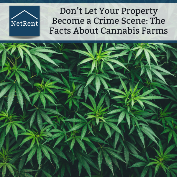 Don’t Let Your Property Become a Crime Scene: The Facts About Cannabis Farms