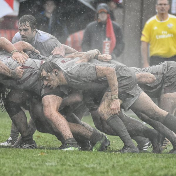 rugby-3697512_1920